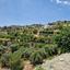 land for sale dierona limassol 1554700 thumbnail 16013459