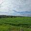 land for sale frenaros famagusta 8776700 thumbnail 16615901