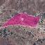land for sale kelokedara paphos 1213700 thumbnail 14890814