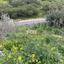 land for sale peyia paphos 7697700 thumbnail 14933944