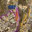 land for sale peyia paphos 7697700 thumbnail 14933950