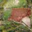 land for sale stroumbi paphos 896700 thumbnail 16009296