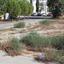 plot for sale latsia nicosia 1150700 thumbnail 17192270