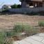 plot for sale latsia nicosia 1150700 thumbnail 17192274