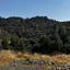 land for sale agioi vavatsinias larnaca 1032800 thumbnail 17287059