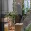 studio building for sale agia zoni limassol 1670800 thumbnail 5851910