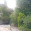 5 bedroom detached house for sale akrounta limassol 8997900 thumbnail 18204053