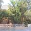 5 bedroom detached house for sale tsirion limassol 7750900 thumbnail 13286815