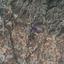 land for sale parekklisia limassol 8311900 thumbnail 14156353