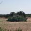 land for sale sea caves peyia paphos 1684900 thumbnail 4406949