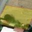 plot for sale potamia nicosia 1061900 thumbnail 16182052