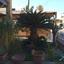3 bedroom detached house for rent mouttagiaka limassol 1848010 thumbnail 15422926