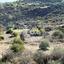 12710 SQM Land for sale in Mathikoloni, Limassol thumbnail 5577628