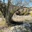land for sale mathikoloni limassol 1236010 thumbnail 5577627
