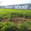 plot for sale deryneia famagusta 8741010 thumbnail 16388458