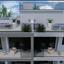 1 bedroom apartment for sale agios nektarios limassol 8765110 thumbnail 16556721