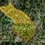 14717 SQM Land for sale in Moutoullas, Nicosia thumbnail 13035111