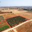 land for sale avgorou famagusta 949110 thumbnail 2655692