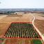 land for sale avgorou famagusta 949110 thumbnail 2655693