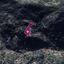 land under offer kaminaria limassol 1057110 thumbnail 15356720