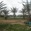plot for sale astromeritis nicosia 1152110 thumbnail 5147313