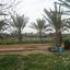plot for sale astromeritis nicosia 1152110 thumbnail 5147315