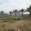 plot for sale astromeritis nicosia 1152110 thumbnail 5147319