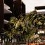 2 bedroom penthouse for sale kato lakatamia nicosia 1738210 thumbnail 16741202