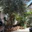 3 bedroom detached house for sale aradippou larnaca 8827210 thumbnail 16973718