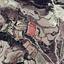 land for sale stroumbi paphos 8395210 thumbnail 15620351