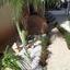 4 bedroom detached house for sale limassol municipality limassol 980310 thumbnail 6738594