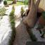 4 bedroom detached house for sale limassol municipality limassol 980310 thumbnail 6738595