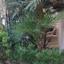 5 bedroom town house for sale dekeleia larnaca 8839310 thumbnail 17044605