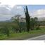 land for sale akapnou limassol 8941310 thumbnail 17675516