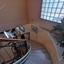 4 bedroom detached house for sale ekali limassol 1735410 thumbnail 10814081