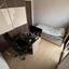 5 bedroom detached house for rent agios georgios limassol limassol 8333410 thumbnail 17528026