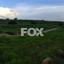 land for sale anogyra limassol 1146410 thumbnail 5537079