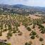 land for sale mesa chorio paphos 1355510 thumbnail 9271576