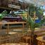 studio cafe for sale pentakomo limassol 1100510 thumbnail 16258286