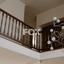 5 bedroom detached house for sale konia paphos 1492610 thumbnail 5627560