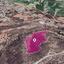 land for sale agios theodoros larnacas larnaca 8228610 thumbnail 13780553