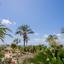 studio hotel for sale coral bay paphos 7739610 thumbnail 12169056