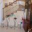 2 bedroom semi detached house for sale deftera nicosia 841710 thumbnail 5396567