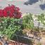 4 bedroom semi detached house for rent meneou larnaca 1835710 thumbnail 16144923