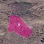 land for sale choletria paphos 8629710 thumbnail 15869617