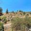 land for sale palaichori oreinis nicosia 8174810 thumbnail 13549895