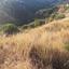 land for sale pano pyrgos nicosia 945810 thumbnail 15600934