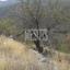 6689 SQM Plot for sale in Palaichori Morfou, Nicosia thumbnail 12886752