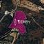 15385 SQM Land for sale in Pano Akourdalia, Paphos thumbnail 14876713