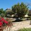 5 bedroom detached house for sale aphrodite hills paphos 8529910 thumbnail 15458328